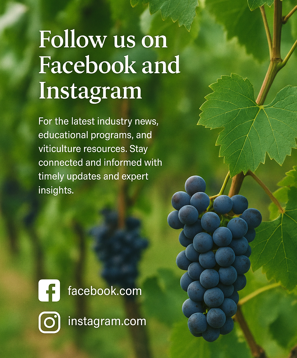 For decorative purposes.